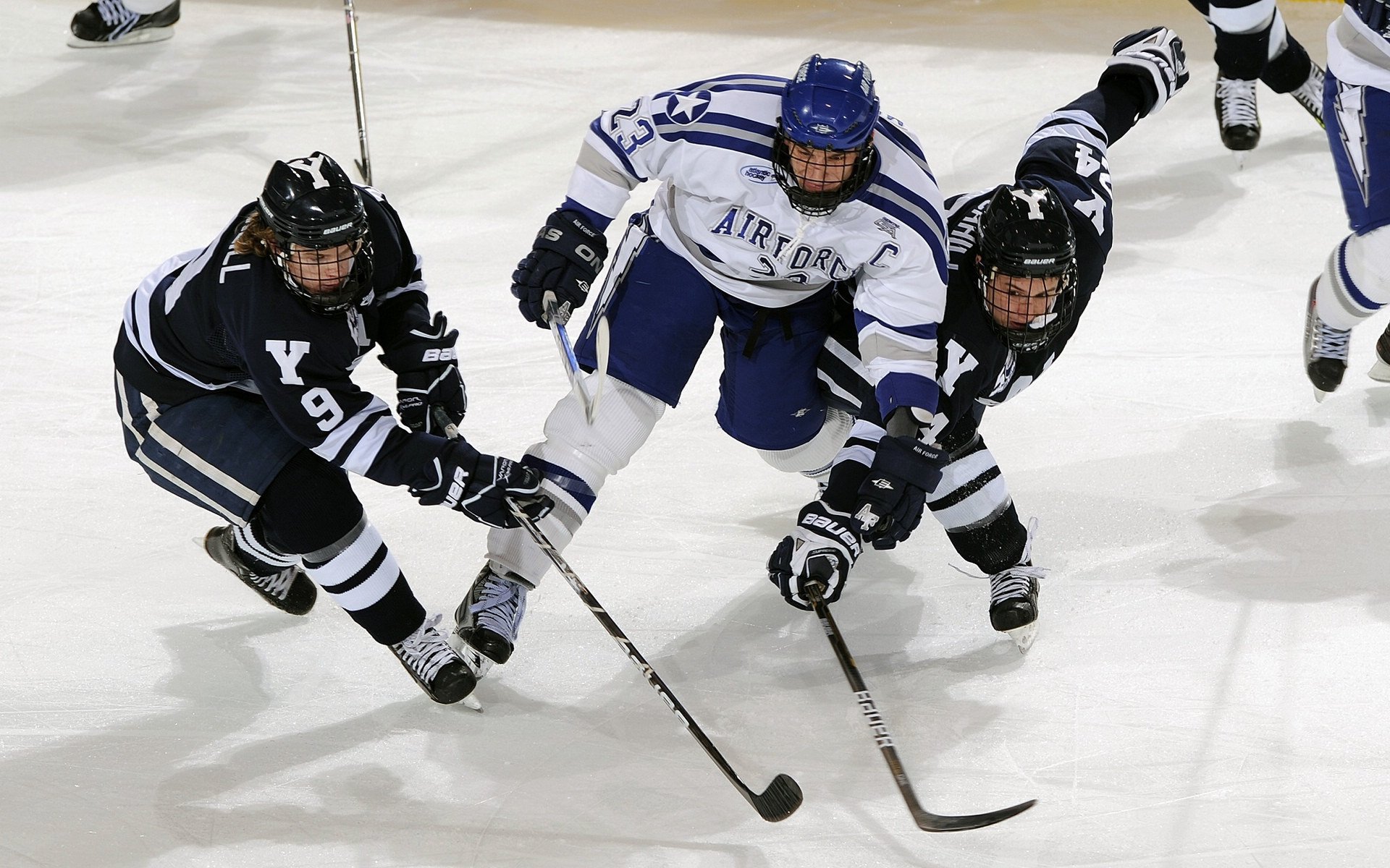 体育新闻中心推出高校体育创作者人才孵化机制,体育产业创新创业平台