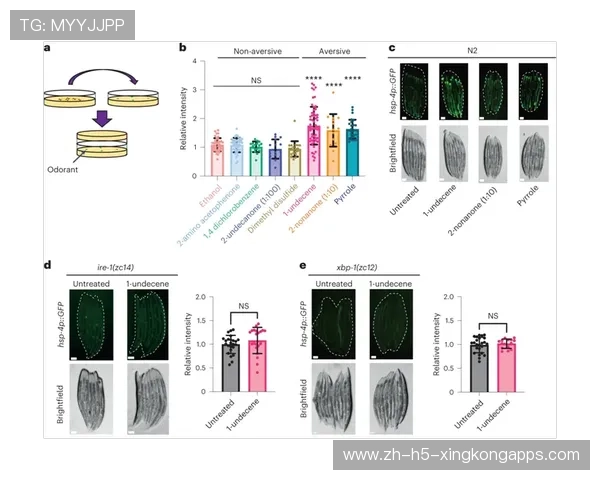 巴黎或将影响更衣室反应观察走向
