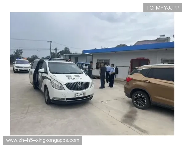 英德法院公布警车私用调查结果,相关人员面临严肃处理,警车私用处理最新规定