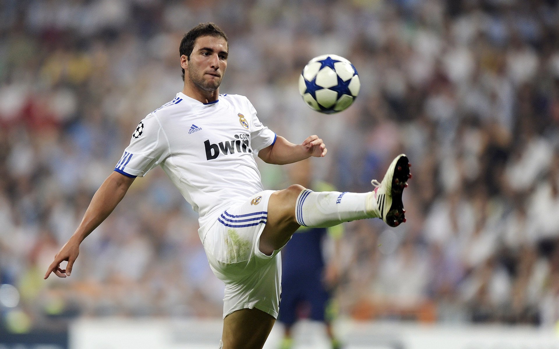 星空娱乐最新网址-五大联赛球迷文化对球队士气的实际作用，球队文化的几要素