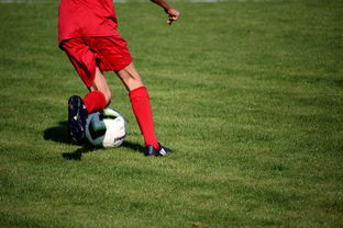 星空体育在线-俱乐部青训体系与职业联赛脱节，俱乐部青训有工资吗